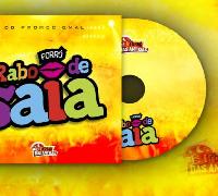 Forró Rabo de Saia lança novo CD Promocional após anunciar o seu retorno aos palcos