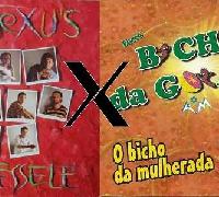 Banda Reflexu's X Forrozão Bicho da Goiaba  - 