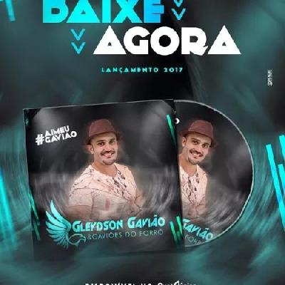 Gleydson Gavião & Gaviões do Forró - Promocional 2017