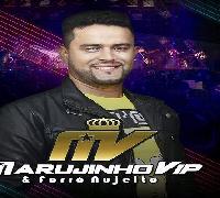 Marujinho Vip & Forró NuJeito lançam novo CD Promocional
